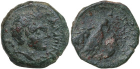 Greek Italy. Northern Apulia, Salapia. AE 16.5 mm. c. 225-210 BC. Obv. ΣΑΛΑΠΙΝΩΝ. Head of young Pan right, pedum at shoulder. Rev. Hawk right, wings c...