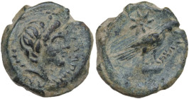 Greek Italy. Northern Apulia, Salapia. AE 15 mm. c. 225-210 BC. Obv. ΣΑΛΑΠΙΝΩΝ. Head of young Pan right, pedum at shoulder. Rev. Hawk right, wings clo...