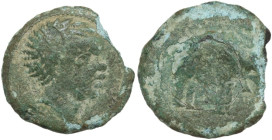 Greek Italy. Etruria, Arretium (?) The Chiana Valley. AE 18 mm, c. 208-207 BC. Obv. Head of an African male right. Rev. Elephant right. HN Italy 69; S...