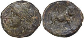 Greek Italy. Samnium, Southern Latium and Northern Campania, Cales. AE 20.5 mm. c. 265-240 BC. Obv. [CALE]NO. Laureate head of Apollo left; dolphin do...