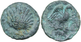 Greek Italy. Southern Apulia, Graxa. AE 15 mm, c. 250-225 BC. Obv. Cockle shell. Rev. Eagle right, wings open, on thunderbolt; in exergue, ΓPA. HN Ita...