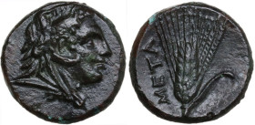 Greek Italy. Southern Lucania, Metapontum. AE 13 mm, 300-250 BC. Obv. Head of Herakles right, wearing lion skin. Rev. Barley-ear with leaf to right; M...
