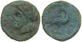 Sicily. Akragas. AE 14.5 mm, c. 287-279 BC. Obv. Laureate head of Apollo left. Rev. Eagle standing right, head left. HGC 2 168; CNS I 119; Buceti 193....