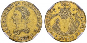 Republic, 1809-. 4 Escudos 1837, Quito. KM 19; Fr. 4. AU. 13.46 g. NGC XF 45