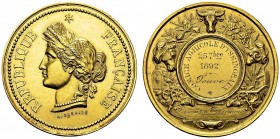 Médaille en or 1892 par Desaide. 33.5 mm. Comice agricole d'Yssingeaux. AU. 21.94 g. SUP
Attribuée à Jouve, fermier à Trélemont. Poinçon "corne" et O...