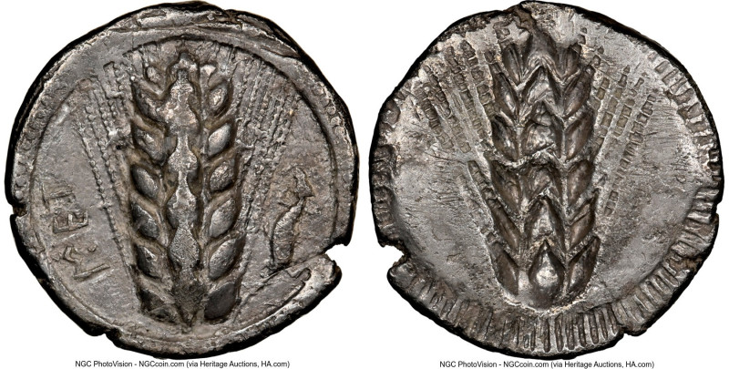 LUCANIA. Metapontum. Ca. 510-470 BC. AR stater (24mm, 12h). NGC Choice VF, scrat...
