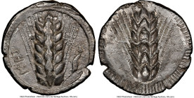 LUCANIA. Metapontum. Ca. 510-470 BC. AR stater (24mm, 12h). NGC Choice VF, scratches. MET, barley grain ear; lizard to right / Incuse of barley grain ...