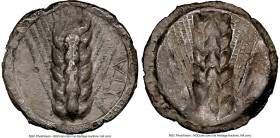 LUCANIA. Metapontum. Ca. 510-470 BC. AR stater (25mm, 6.81 gm, 6h). NGC (photo-certificate) VF. META, barley grain ears; guilloche border on raised ri...