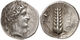 GRECE ANTIQUE
Lucanie, Métaponte (340-330 av. J.C.). Didrachme ou Nomos argent.
Av. Tête de Déméter à droite portant une couronne d’épis coiffée d’u...