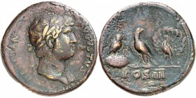 EMPIRE ROMAIN
Hadrien (117-138). Médaillon 123-125, Rome.
Av. Tête laurée à droite. Rv. Aigle de face, à droite un moineau et à sa droite un paon.
...