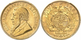 AFRIQUE DU SUD
République du Transvaal (1856-1902). Pound 1892, single « schaft ».
Av. Buste habillé à gauche. Rv. Armes de l’Afrique du Sud surmont...