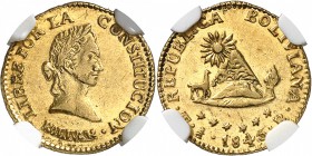 BOLIVIE
République. 1/2 scudo, 1845 PTS-R.
Av. Tête laurée à droite. Rv. Montagne sous un soleil rayonnant.
Fr. 30.
NGC MS 63. Superbe à Fleur de ...