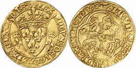 FRANCE
Charles VII (1422-1461). Écu d’or dit « écu neuf » deuxième émission.
Av. Écu de France couronné, accosté de deux lis couronnés. Rv. Croix fe...