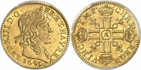 FRANCE
Louis XIII (1610-1643). 1/2 louis d’or à la mèche longue 1643 A, Paris.
Av. Tête laurée à droite. Rv. Croix formée de huit L adossés et couro...