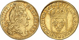 FRANCE
Louis XIV (1643-1715). Double louis d’or 1690, Rouen, flan neuf.
Av. Tête laurée à droite. Rv. Écu de France couronné.
Dup. 1434, Fr. 428 13...