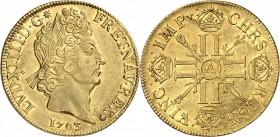 FRANCE
Louis XIV (1643-1715). Double louis d’or aux 8 L et aux insignes 1703, Paris, flan neuf.
Av. Tête laurée à droite. Rv. Croix formée de huit L...
