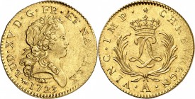 FRANCE
Louis XV (1715-1774). Double louis d’or mirliton 1723 A, Paris.
Av. Tête laurée à droite. Rv. Deux L entrelacés sous une couronne, entre deux...