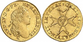 FRANCE
Louis XV (1715-1774). Louis d’or 1718, Caen.
Av. Tête laurée à droite. Rv. Croix du Saint-Esprit. 
Dup. 1633, Fr. 453. 9,80 grs.
Atelier tr...