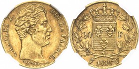 FRANCE
Charles X (1824-1830). 20 francs 1829, Lille.
Av. Tête nue à droite. Rv. Écu de France couronné, entouré d’une couronne de laurier. 
G. 1029...