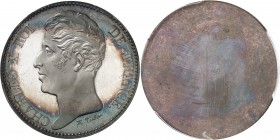 FRANCE
Charles X (1824-1830). 5 francs (1824), épreuve uniface d’avers en bronze argenté, Flan bruni.
Av. Tête nue à gauche. Rv. Champs lisse
Maz. ...