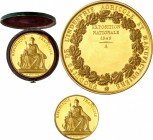 FRANCE
II° République (1848-1852). Médaille en or non attribuée pour l’exposition nationale de 1849, par Bovy.
Av. La République trônant de face. Rv...