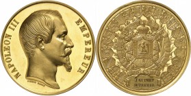 FRANCE
Napoléon III (1852-1870). Médaille en or frappée pour l’exposition universelle en 1855, attribué à Jean-Baptiste Guimet, par Barre.
Av. Tête ...
