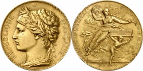 FRANCE
III° République (1870-1940). Médaille en or frappée pour l’exposition universelle de 1878, par Chaplain.
Av. Buste lauré à gauche. Rv. La Vic...