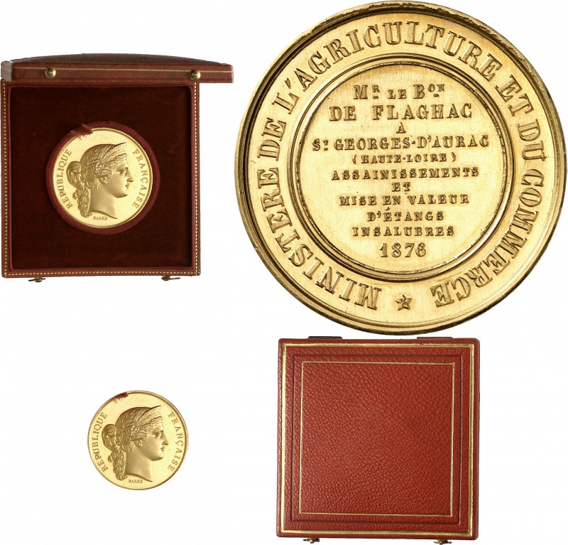 FRANCE
III° République (1870-1940). Médaille en or 1876, décerné à Mr le Baron ...