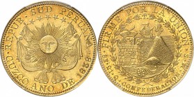 PEROU
République. 8 escudos 1838, Cuzco.
Av. Soleil radiant au centre. Rv. Forteresse et volcan.
Fr. 92.
PCGS MS 64. Rare, surtout dans cette qual...