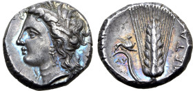Lucania, Metapontion AR Stater. Circa 330-290 BC. Ay-, magistrate. Wreathed head of Demeter to left, wearing triple pendant earring and necklace / Ear...