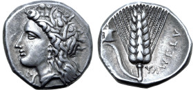 Lucania, Metapontion AR Stater. Circa 330-290 BC. Ly-, magistrate. Wreathed head of Demeter to left, wearing triple pendant earring and necklace; ΞƎΔ ...