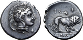 Lucania, Velia AR Stater. Circa 300-280 BC. Philistion group. Head of Athena to right, wearing crested Attic helmet decorated with griffin; A behind n...