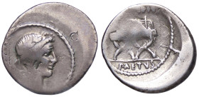 ROMANE REPUBBLICANE - CONSIDIA - C. Considius Paetus (46 a.C.) - Denario B. 3; Cr. 465/1b (AG g. 3,58) Contromarche

meglio di MB