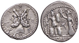 ROMANE REPUBBLICANE - FURIA - M. Furius L. f. Philus (119 a.C.) - Denario B. 18; Cr. 281/1 (AG g. 3,85)

qSPL/BB+
