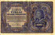 CARTAMONETA ESTERA - POLONIA - Repubblica (1919-1939) - 1.000 Marchi 23/08/1919 Kr. 29

SPL