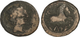 Cuadrante. 120-50 a.C. CELSE (VELILLA DE EBRO, Zaragoza). Anv.: Cabeza masculina a derecha, detrás delfín. Rev.: Prótomo de Pegaso a derecha, encima t...