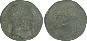 As. 120-20 a.C. LAIESCEN (BARCELONA). Anv.: Cabeza laureada a derecha. Rev.: Jinete con palma a derecha, debajo leyenda ibérica. 19,52 grs. AE. AB-166...
