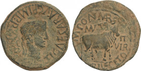 As. 14-36 d.C. ÉPOCA DE TIBERIO. TURIASU (TARAZONA, Zaragoza). Anv.: TI. CAESAR AVG. F. IMP. PONT. M. Cabeza laureada de Tiberio a derecha. Rev.: MVN....