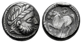 Celts in Eastern Europe. Drachm. Siglo III a.C. Dachreiter Type. (Göbl-OTA pl.16, 188/2.3). (Lanz-458). Anv.: Celticised, laureate and bearded head to...