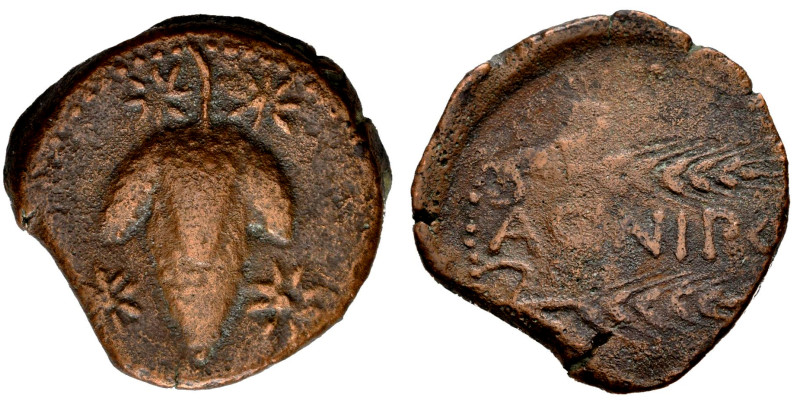 Acinipo. Unit. 100-50 BC. Ronda (Málaga). (Abh-52). Anv.: Bunch of grapes, four ...