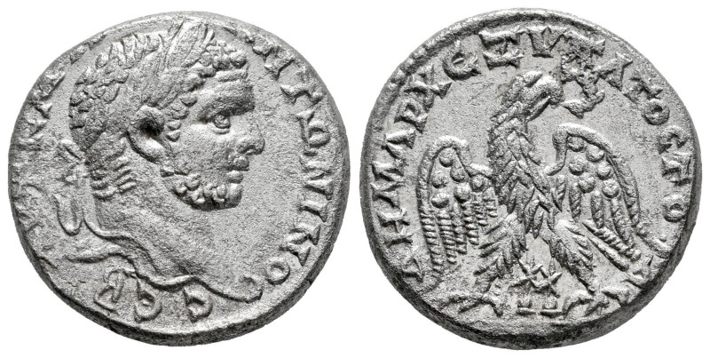 Caracalla. Tetradrachm. 215-217 d.C. Phoenicia. Ake-Ptolemais. (Prieur-1223). An...