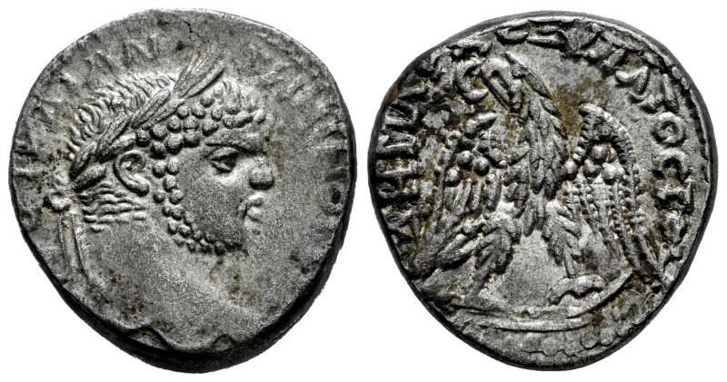 Caracalla. Tetradrachm. 213-217 AD. Alexandria. (Prieur-1548 similar). Anv.: AVT...