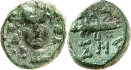 THRAKIEN. 
STÄDTE. 
SESTOS. AE-10mm (nach 150 v. Chr.) 1,72g. Dionysoskopf v. v. / S HS Thyrsus. BMC&nbsp; 10, SNG Cop.&nbsp; 942. . 

grüne Patin...