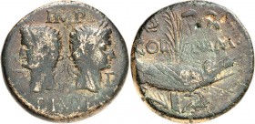 GALLIEN. 
NEMAUSUS. 
Augustus und Agrippa. AE-As 25/26mm (um 20 - 10 v.Chr. 12,3g. Belorb. Augustuskopf n.r., hinter Agrippakopf, mit Schiffskrone, ...