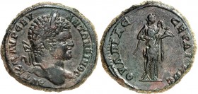 THRAKIEN. 
SERDIKE (Sofia). 
Caracalla, Augustus 198-217. AE-Tetrassarion 30/28mm 21,37g. Belorb. Büste n.r. AYT K M AYPH CEY - ANTWNEINO C / OULPIA...