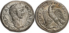 SYRIEN. 
SELEUKIS und PIEREIA / ANTIOCHEIA (Antakya). 
Caracalla 198-217. Tetradrachmon (204) 14,72g. Kopf m. Lkr. n.r. AYT KAI - ANT WNEINO C - CEB...