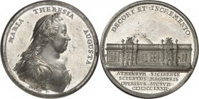 DEUTSCHE STÄDTE. 
UNIVERSITÄTEN u. benannte HOCHSCHULEN (intern.). 
PAVIA (Italien). Medaille 1772 (v.J.M.Kraft) a. d. Vollendung des Universitätsge...