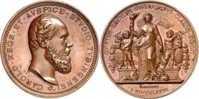 DEUTSCHE STÄDTE. 
UNIVERSITÄTEN u. benannte HOCHSCHULEN (intern.). 
TÜBINGEN. Medaille 1877 (v. K.Schwenzer) Universität 400 Jahre. Kopf Karl von WÜ...