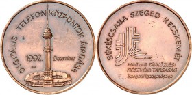 ARCHITEKTUR. 
TÜRME. 
TÜRME. UNGARN, Sopron u.a. Lot Medaillen mit Türmen (13), dazu Dänemark 20 Kr.2004, Amsterdam Anhänger 1968. . 

m. vz
