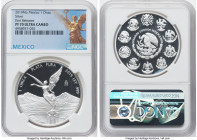 Estados Unidos silver Proof Onza 2019-Mo PR70 Ultra Cameo NGC, Mexico City mint, KM-Unl. First releases. HID09801242017 © 2023 Heritage Auctions | All...